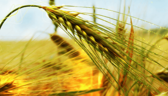 Firmamızdan Kareler